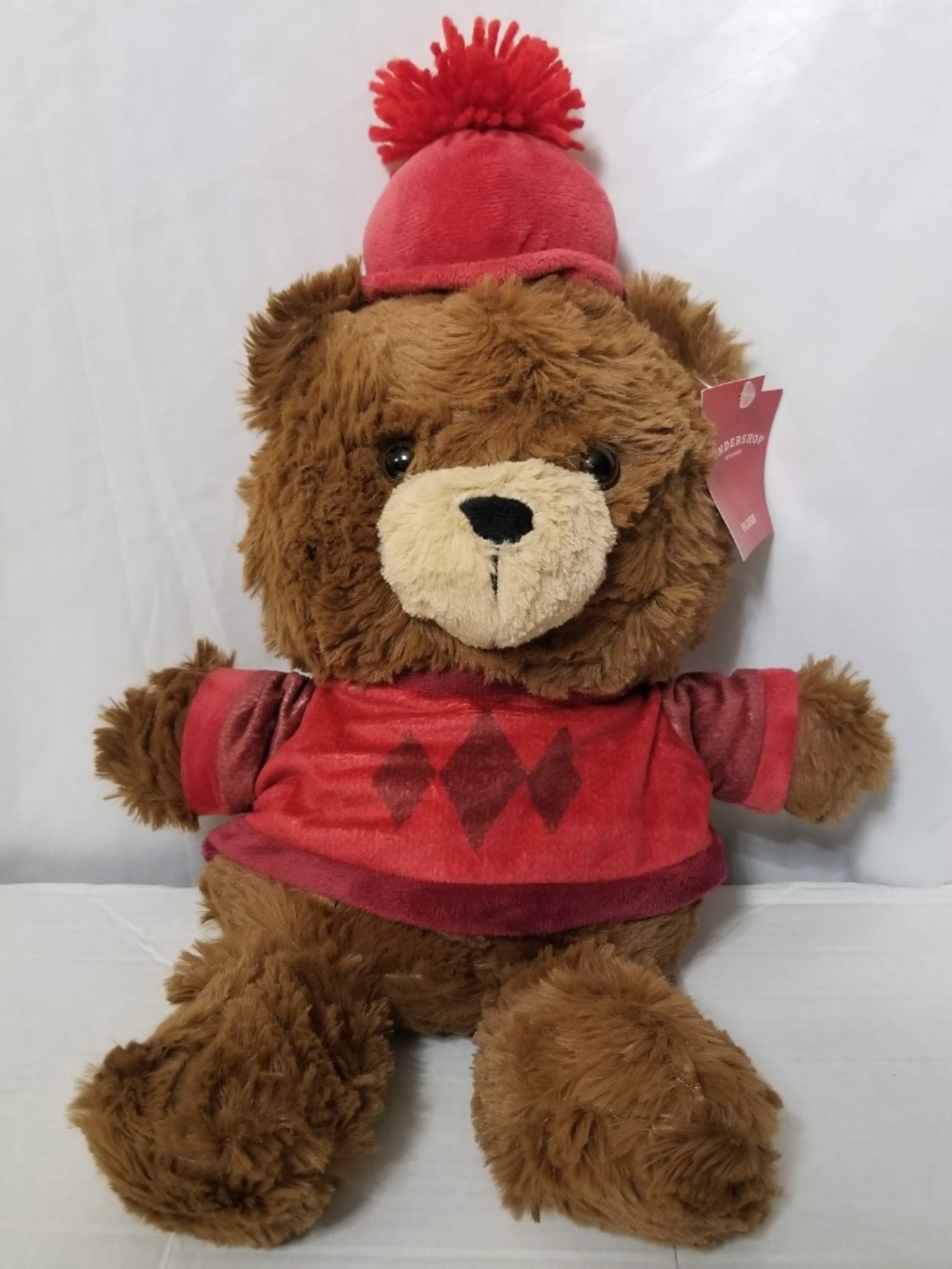 New Animal Adventure Book Teddy Bear Shirt & Hat Plush Stuffed Animal Wondershop